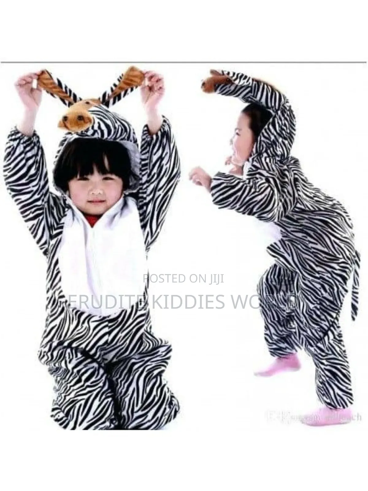Zebra Costume