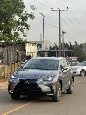 Lexus NX 300 FWD 2018 Gray