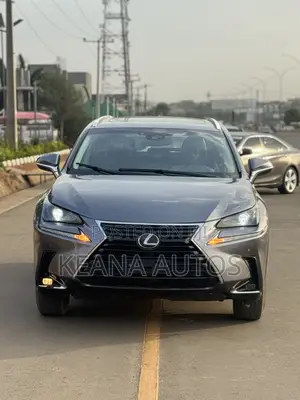 Lexus NX 300 FWD 2018 Gray