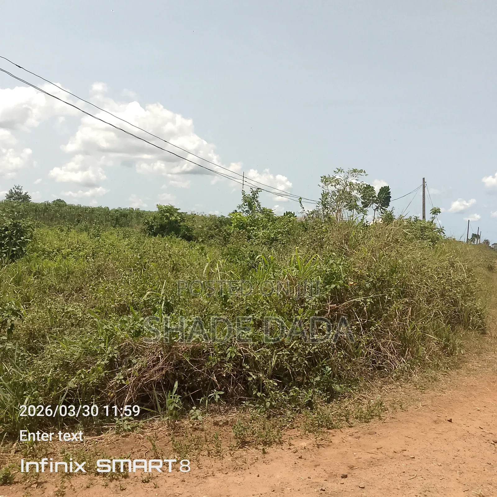 Buy and Build One Plot
