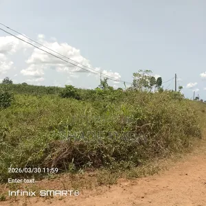 Buy and Build One Plot