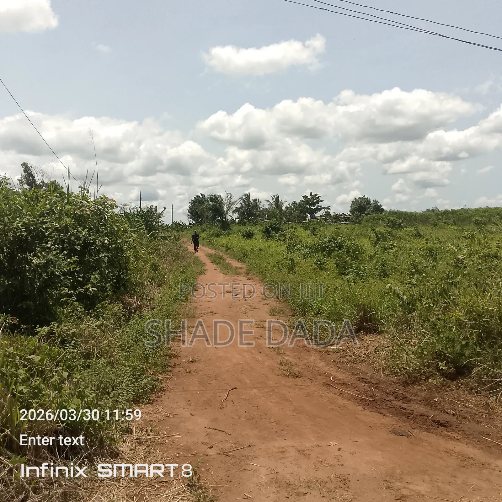 Buy and Build One Plot