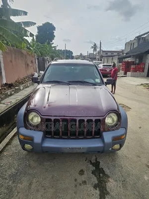 Jeep Liberty 2005 Brown