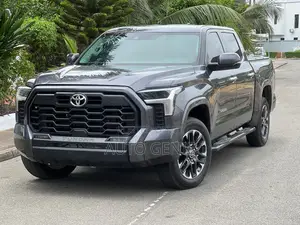 Toyota Tundra Limited Double Cab 6.5' Bed 2024 Gray
