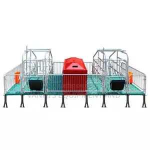 Double Sow Farrowing Crate With Piglet Insulation Boxes