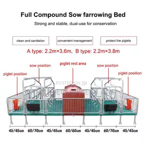 Double Sow Farrowing Crate With Piglet Insulation Boxes