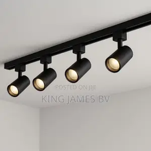 4 in 1 Track Light