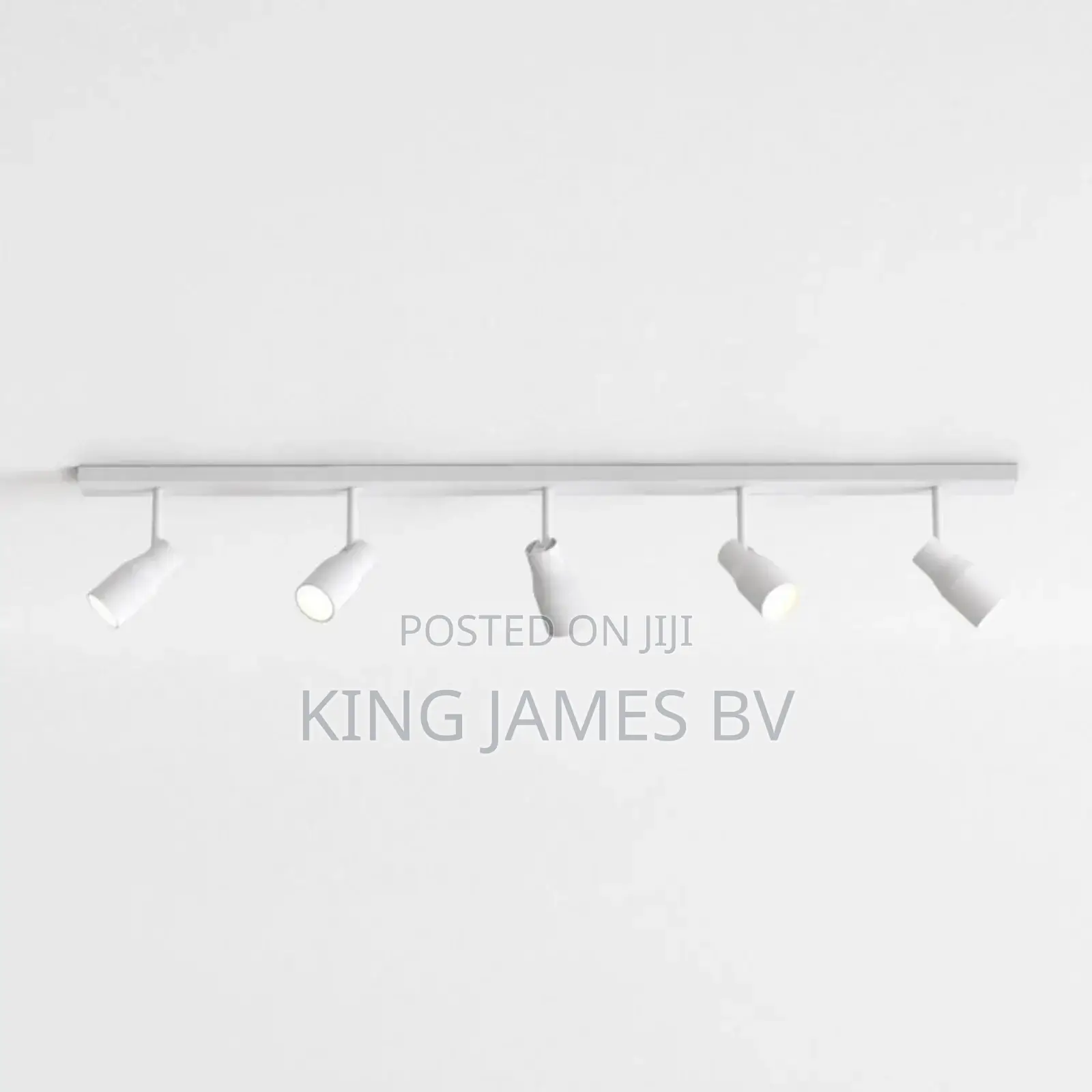 5 in 1 Track Light