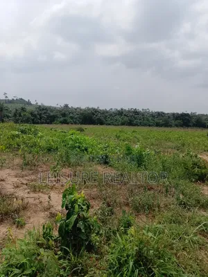 Land for Sale in Igbodu Isiwo, Epe