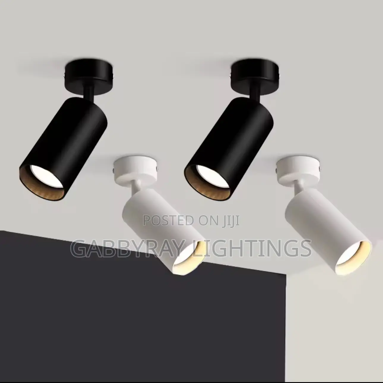 Single Mounted Track Light