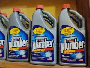 Mister Plumber