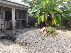 1 Plot in Sars Road