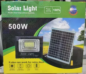 500w Floodlight