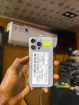 Apple iPhone 15 Pro Max 256 GB Silver