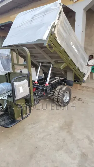 Tricycle 2026 Gray