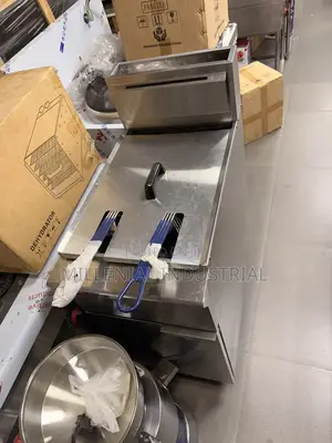 Standing Gas Fryer