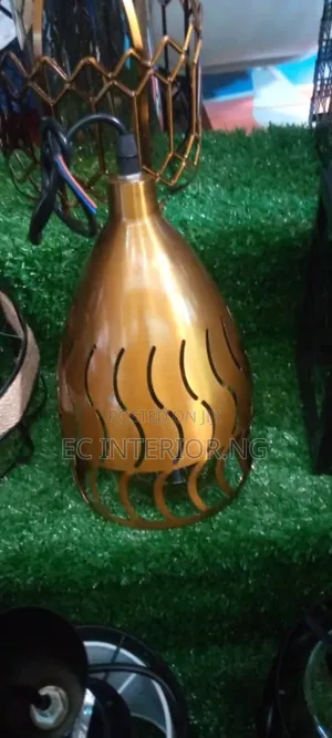 Iron Cage Pendant Lamp Creative