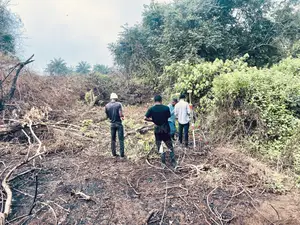 30plots of Farmland for Sale Funaab, Alabata