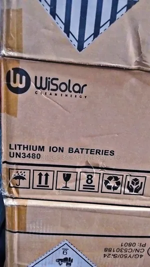 Wisolar 5kwh 51.2v Lithium Battery
