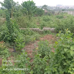 Habitable Land in Odo Osa Town Agbowa Ikosi Lagos