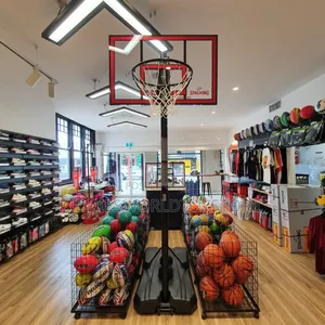 Portable Pro Basketball