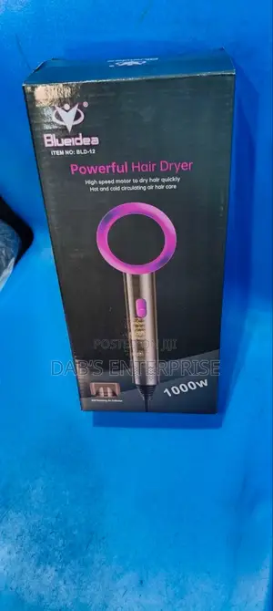 Blue Idea Hair Dryer