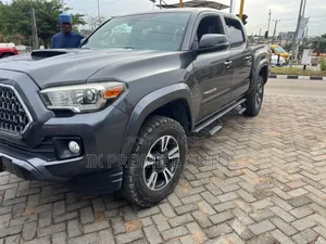 Toyota Tacoma 2019 Gray
