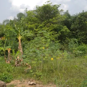 Joint Venture 2 Plots of Land Available