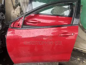 Dodge Dart Empty Front Door