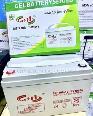 100ah MSN Tubular Battery