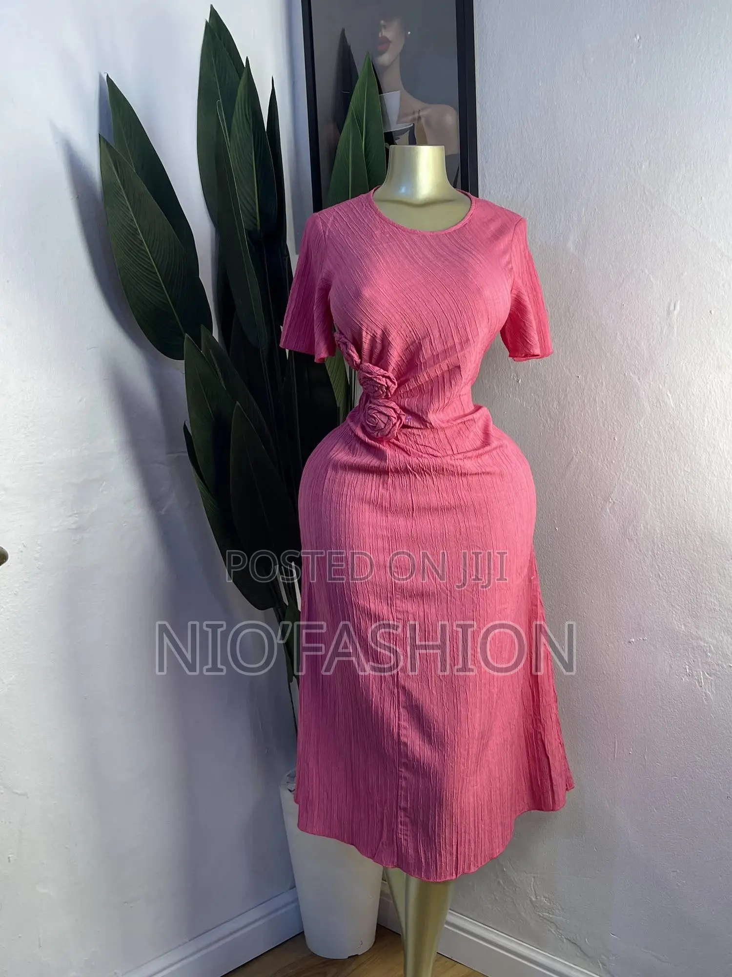 Elegant Premium Dress