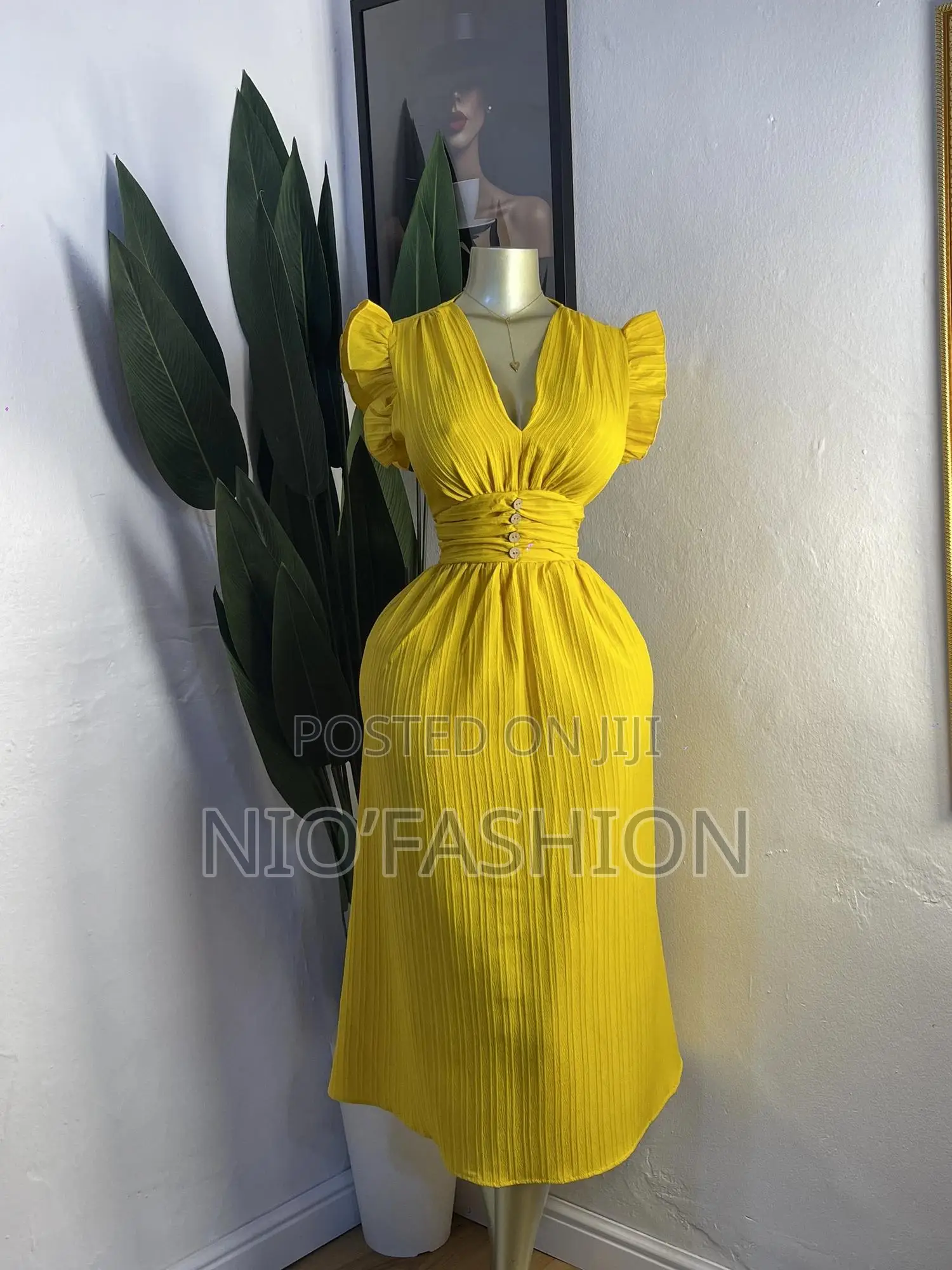 Elegant Premium Dress