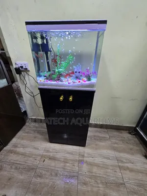 Standing Imported Aquarium