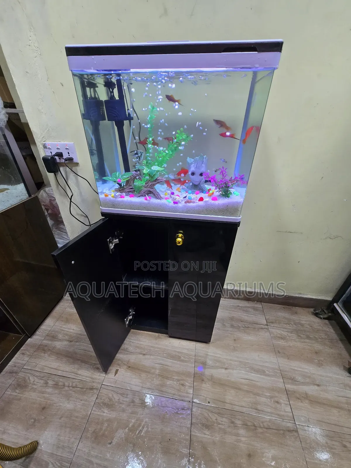 Standing Imported Aquarium