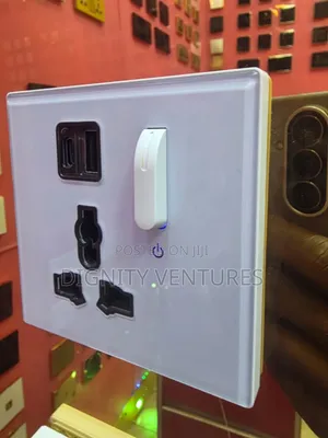 13a Double Socket