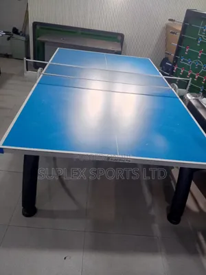 Standard Outdoor Waterproof Aluminum Table Tennis 