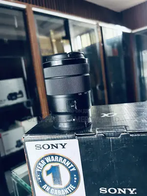 Sony 18-135 E Mount