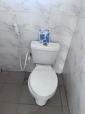 Professional Cleaning Services