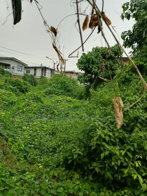 Asipa Land