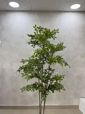 180cm Artificial Pumila Tree – Realistic Faux Indoor Plant Decor
