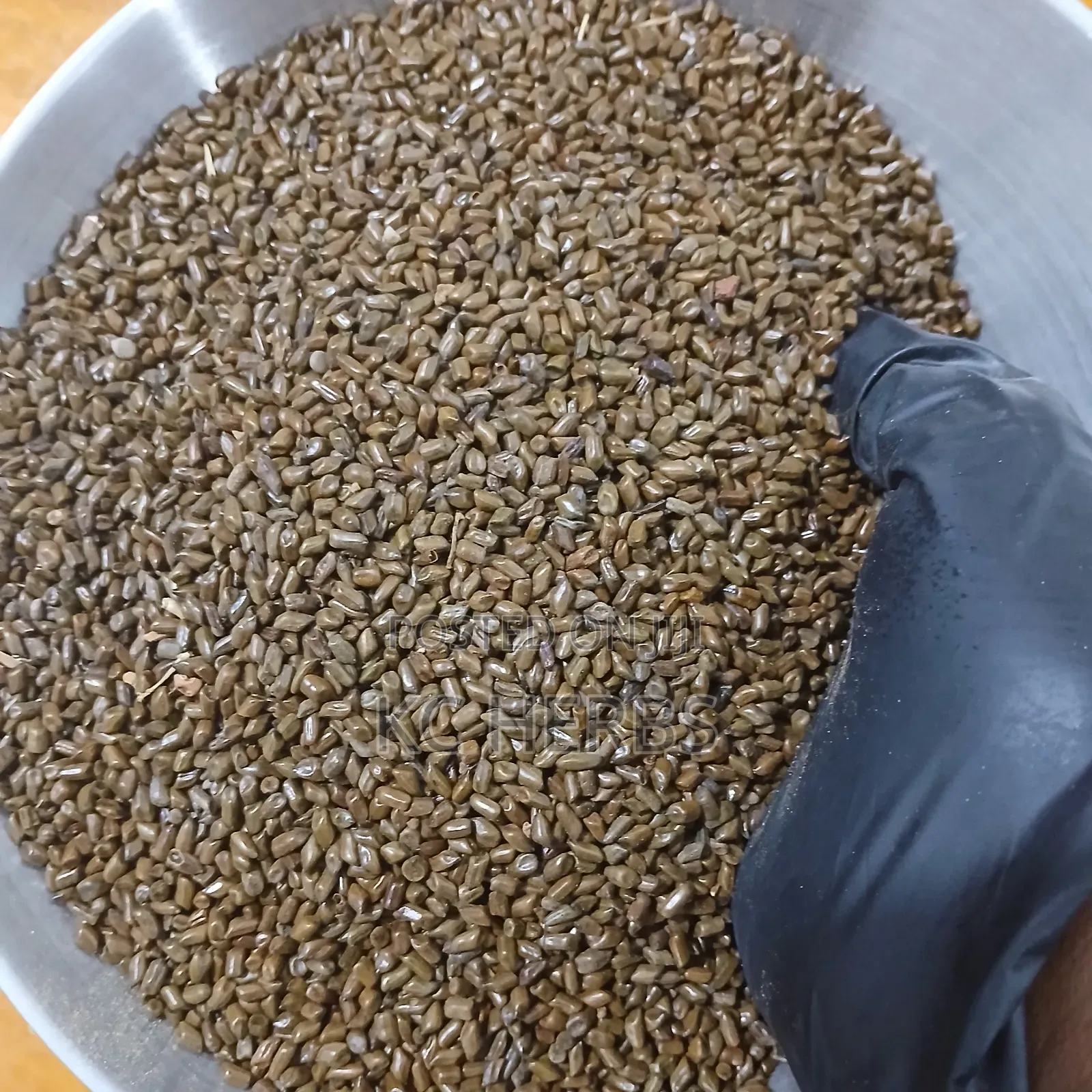 Cassia Seed 100g
