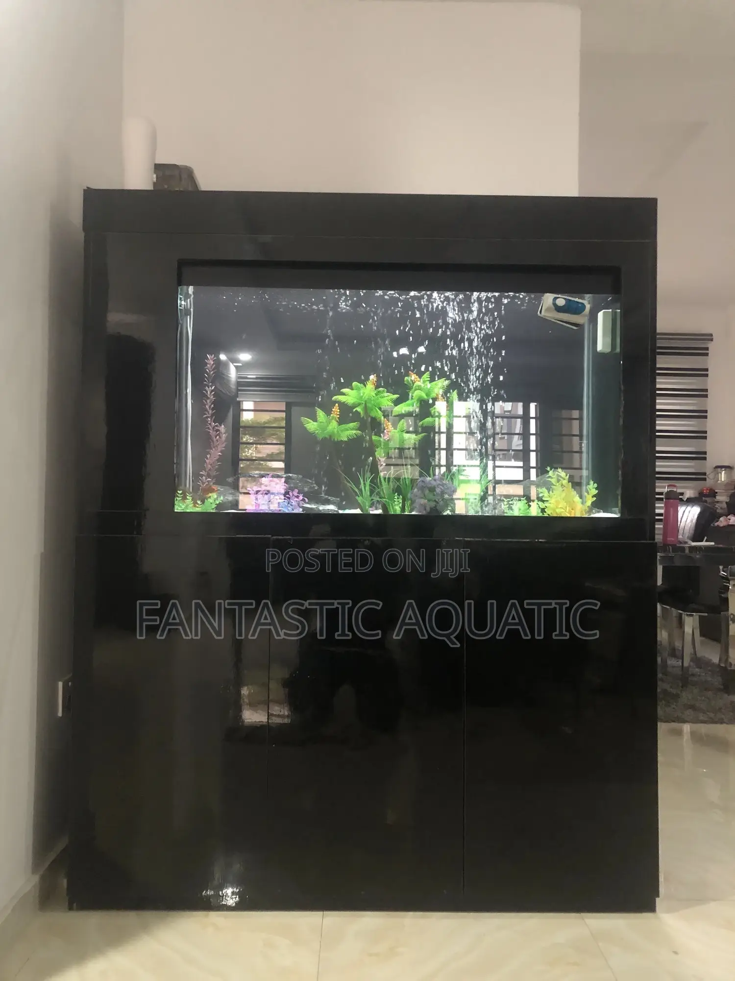 Living Room Aquarium