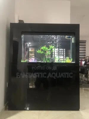 Living Room Aquarium