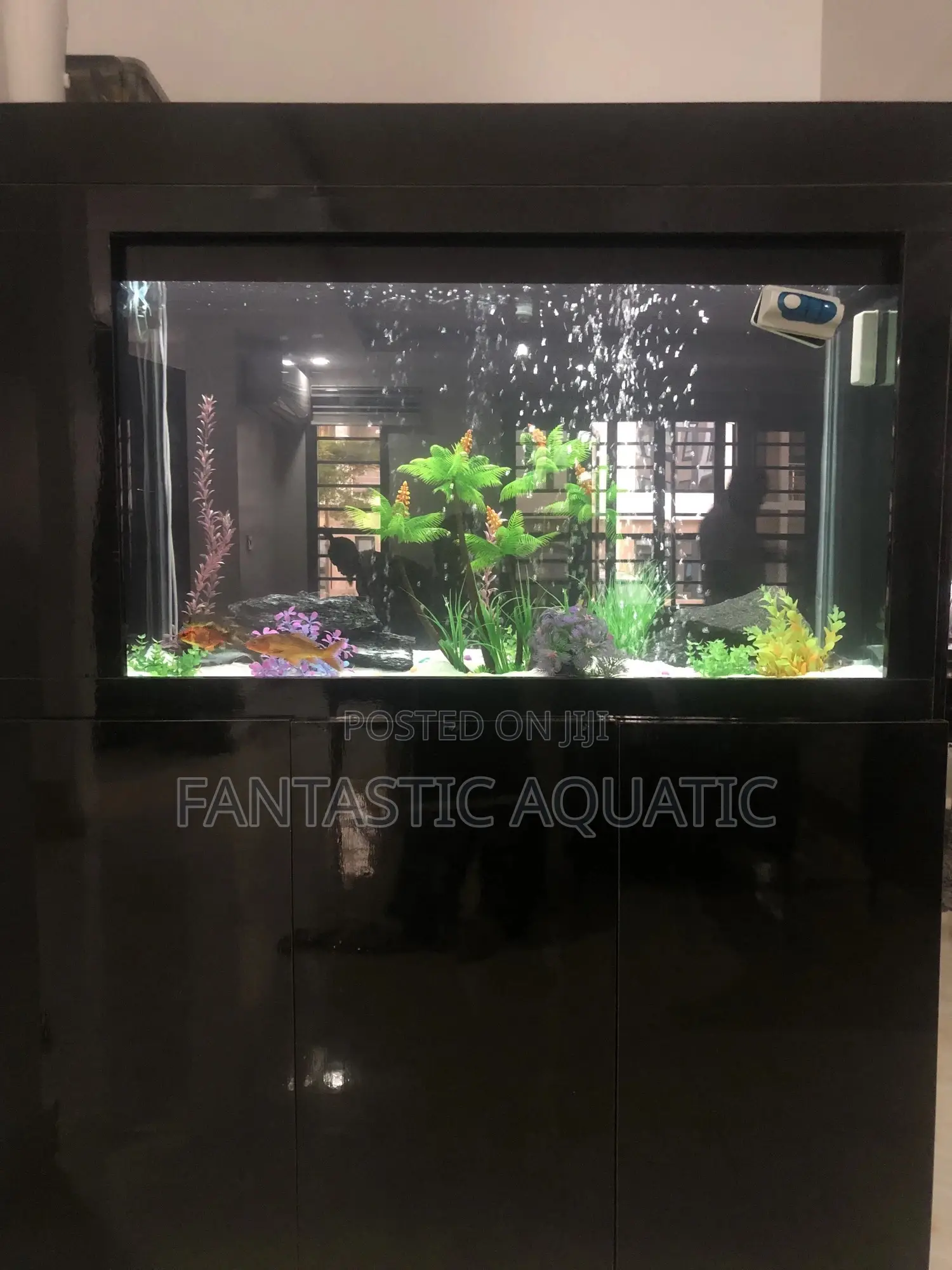 Living Room Aquarium