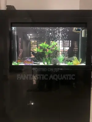 Living Room Aquarium