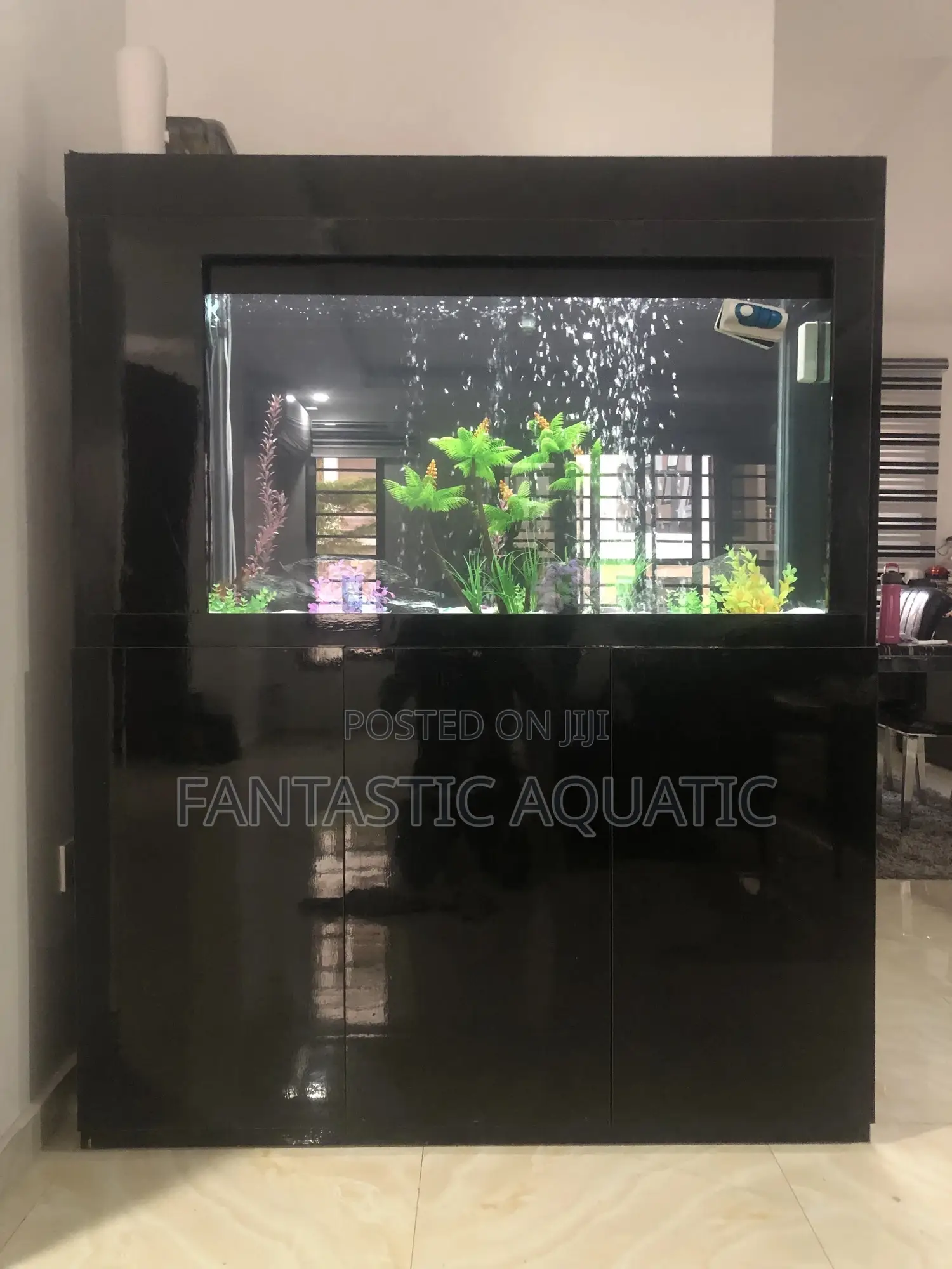 Living Room Aquarium