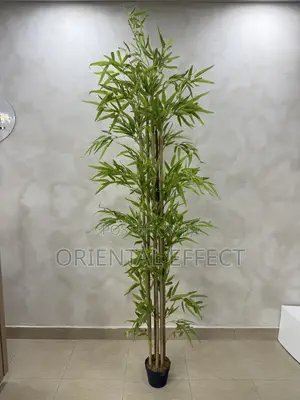 Artificial New 210cm Bamboo Tree–Realistic Faux Home Décor in Nigeria
