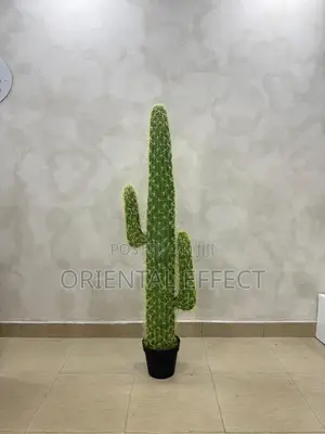 Cactus Plant 145cm Artificial Indoor Decor for Sale Nigeria