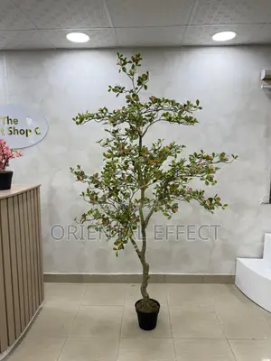 200cm Artificial Osman Tree – Realistic Faux Indoor Plant Decor