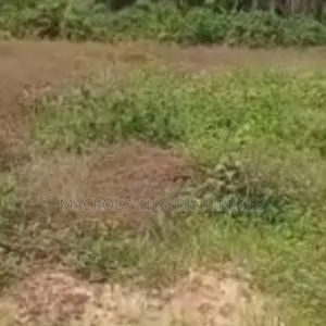 A Plot of Land Available at Opebi
